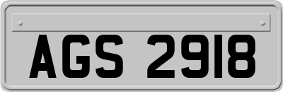 AGS2918