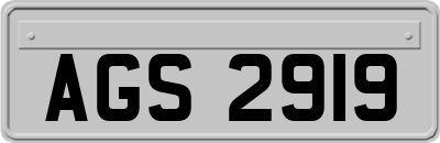 AGS2919