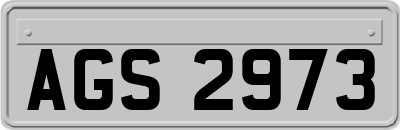 AGS2973