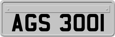 AGS3001
