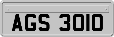AGS3010