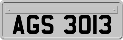 AGS3013