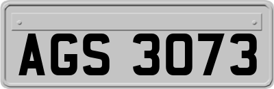 AGS3073