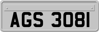 AGS3081