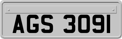 AGS3091