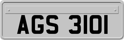 AGS3101