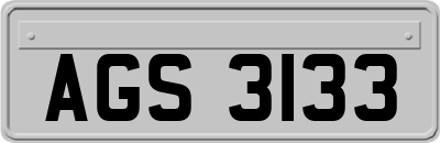 AGS3133