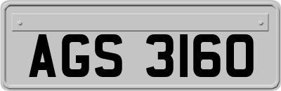 AGS3160