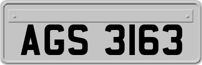 AGS3163