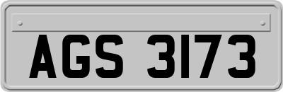 AGS3173