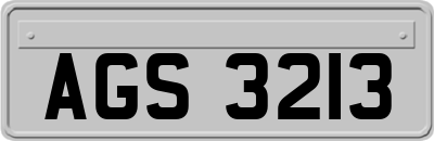 AGS3213
