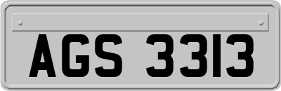 AGS3313