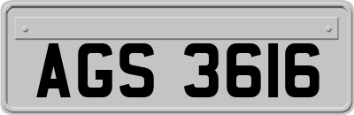 AGS3616