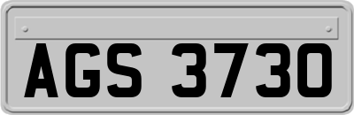 AGS3730