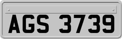 AGS3739