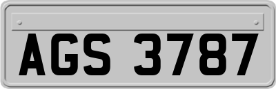 AGS3787
