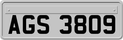 AGS3809