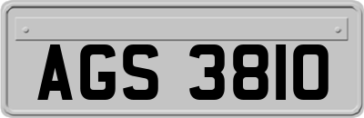 AGS3810