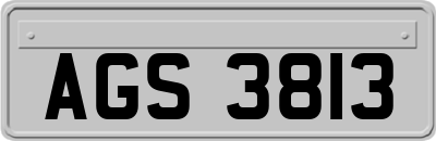 AGS3813