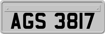 AGS3817
