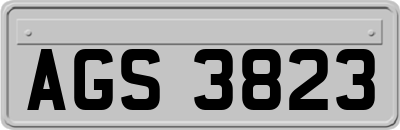 AGS3823