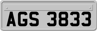 AGS3833
