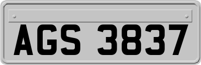 AGS3837