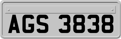 AGS3838