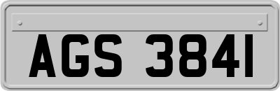 AGS3841