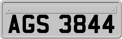 AGS3844