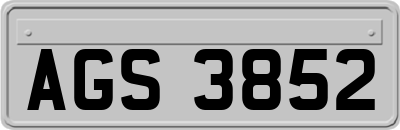AGS3852
