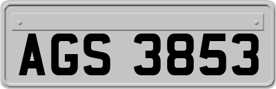 AGS3853