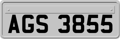 AGS3855