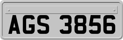 AGS3856