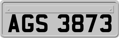 AGS3873