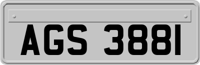 AGS3881