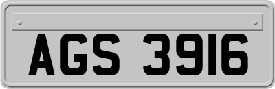 AGS3916