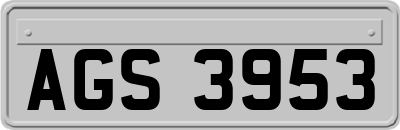 AGS3953
