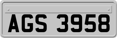 AGS3958