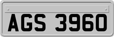 AGS3960