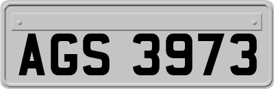AGS3973