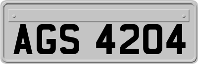 AGS4204