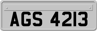 AGS4213