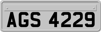 AGS4229