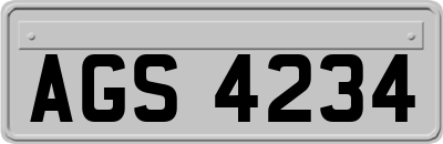 AGS4234