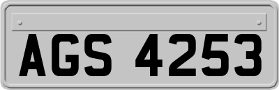 AGS4253