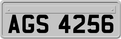AGS4256