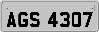 AGS4307