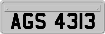 AGS4313