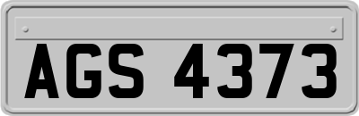 AGS4373